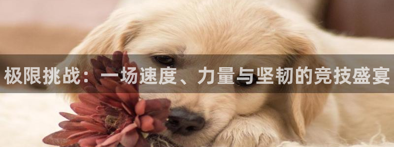 尊龙官网下载招商电话是多少：极限挑战：一场速度、力量