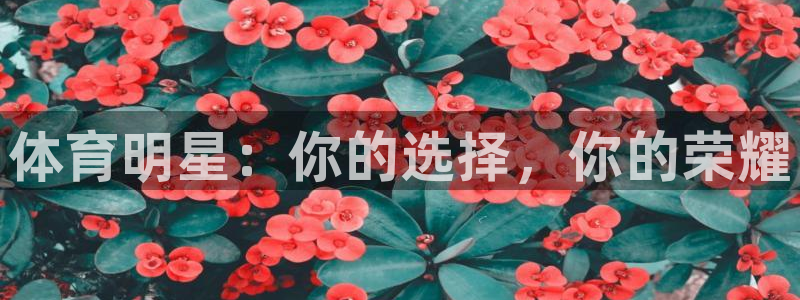 尊龙官方正版app集团：体育明星：你的选择，你的荣耀