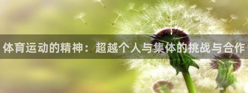 尊龙官方正版app集团简介：体育运动的精神：超越个人