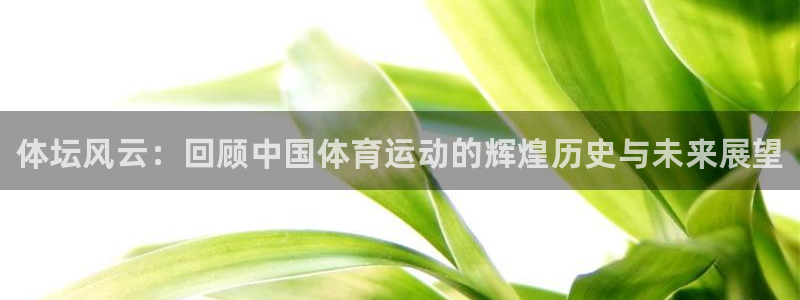 尊龙官网下载是干嘛的公司：体坛风云：回顾中国体育运动