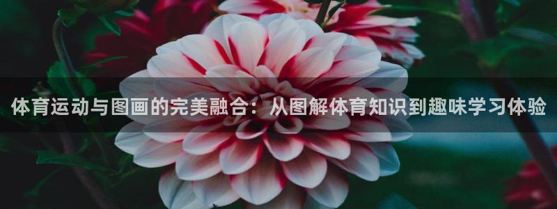 尊龙官方正版app娱乐是那个系列的台子：体育运动与图