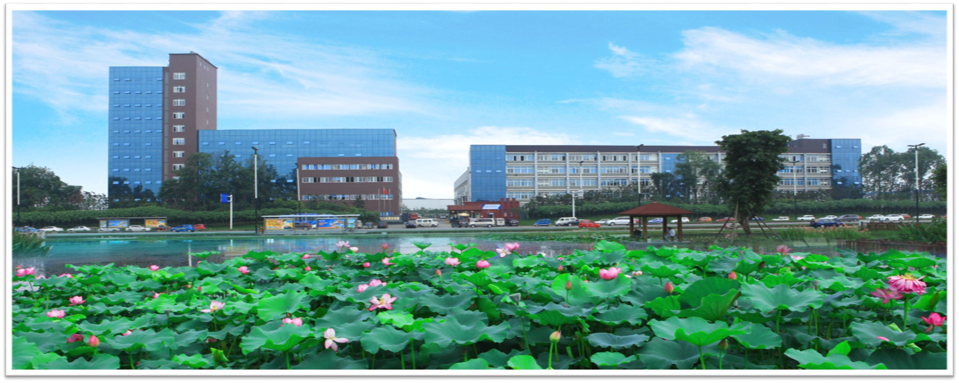 成都bg大游低温设备有限公司